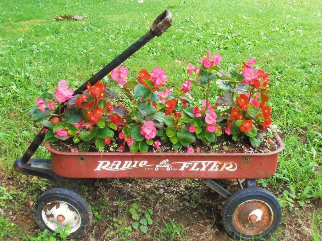 Wagon Full of Flowers by julie