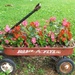 Wagon Full of Flowers by julie