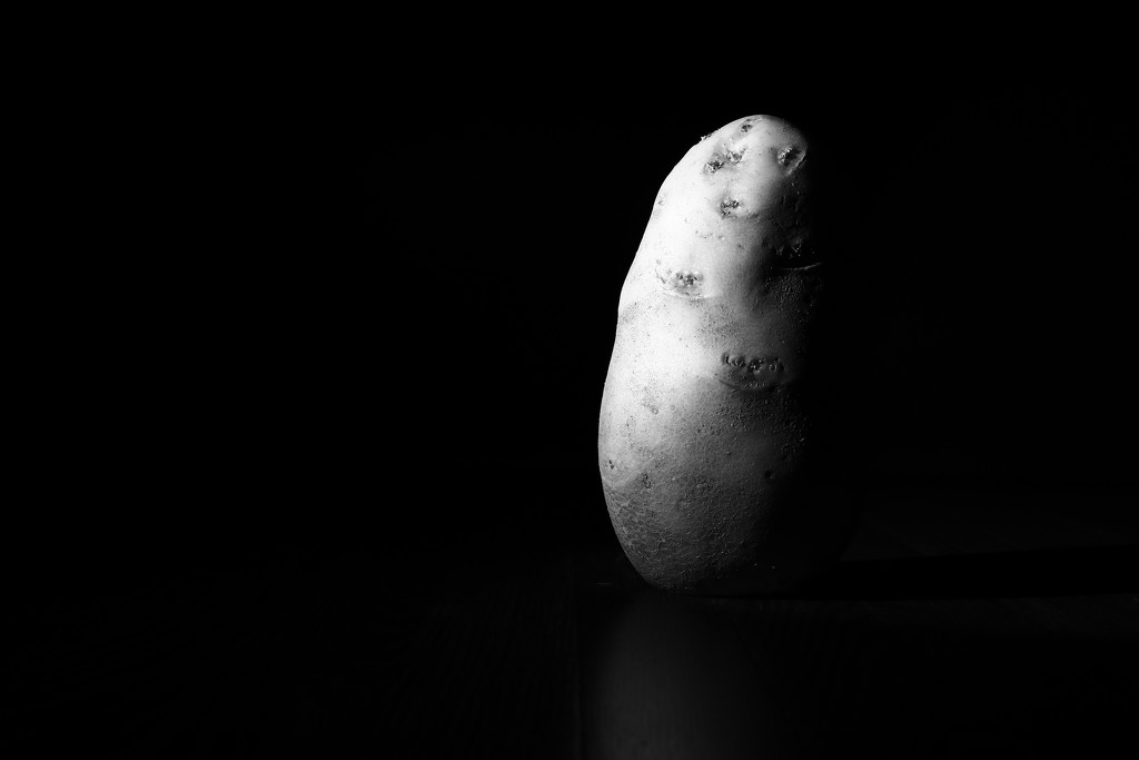 10 out of 10 potatoes can't read or write by northy