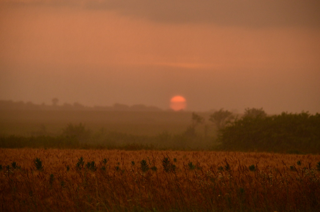 Kansas Sunset as Rain Passes by kareenking