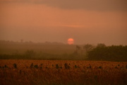 19th Jun 2015 - Kansas Sunset as Rain Passes