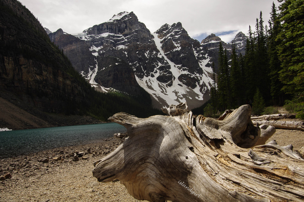Moraine Lake, from the Rockpile, Valley of the Ten Peaks,Alberta by radiogirl