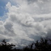 Storm clouds - 30 Days Wild 20 by flowerfairyann