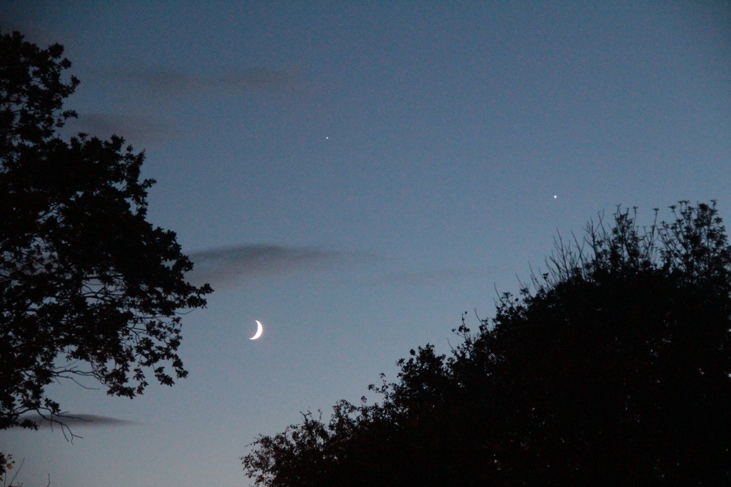 Crescent Moon and Stars by davemockford