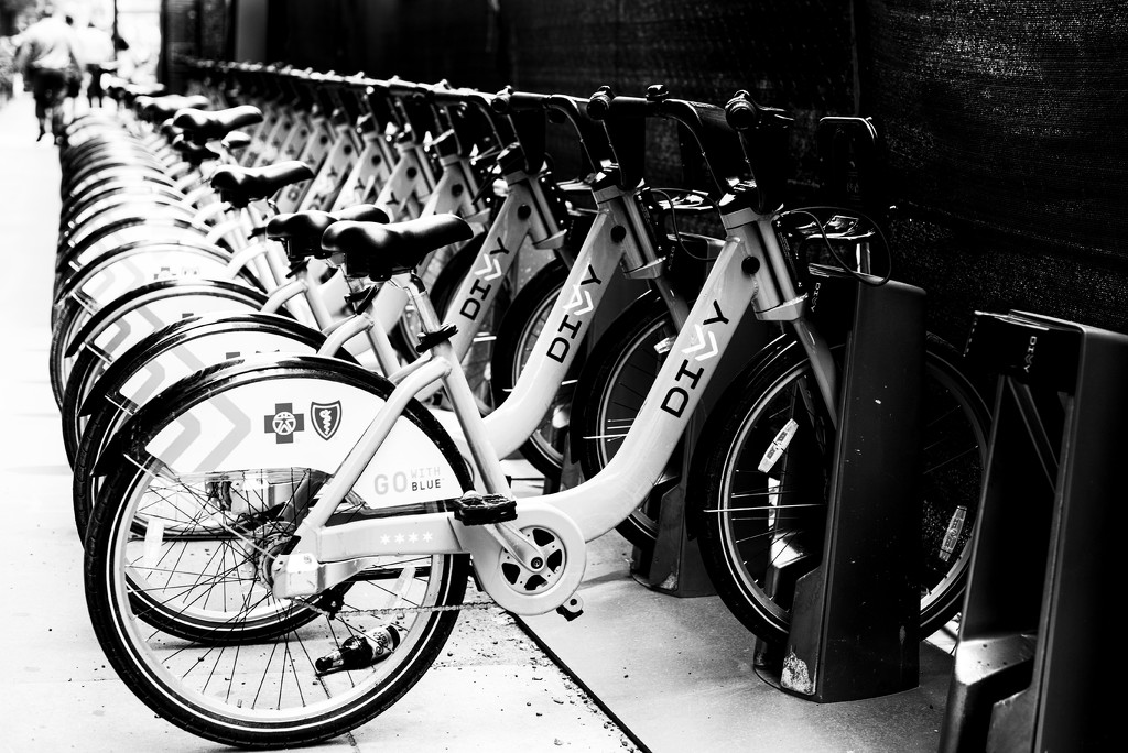 DIVVY Bikes Awaiting Their Riders by taffy