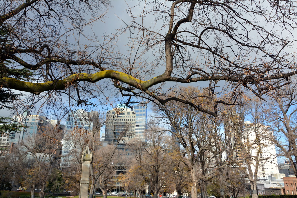 Flagstaff Garden, Melbourne DSC_3502 by merrelyn