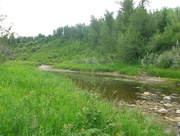 20th Jun 2015 - The Not So Mighty Sturgeon River