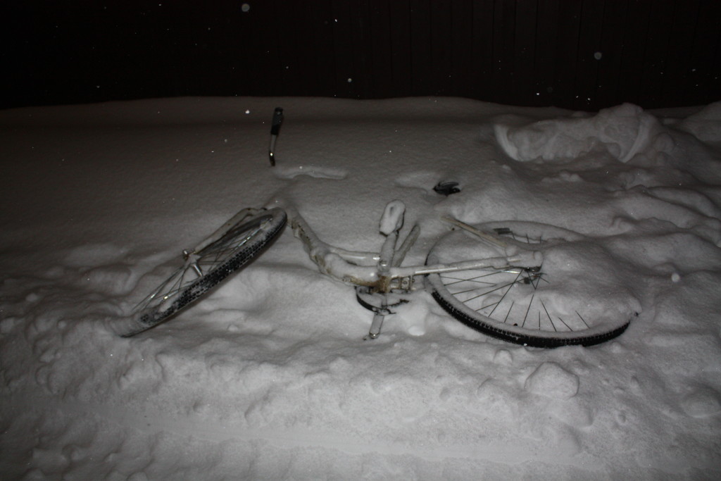 A bike in the snow by annelis