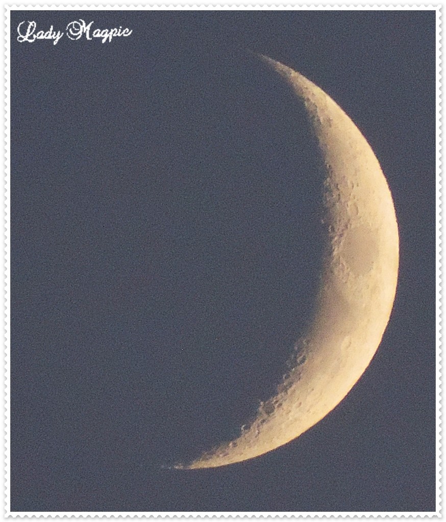 Longest Day, Smallest Moon. by ladymagpie