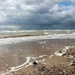 Bootle Beach ....... (For Me) by motherjane