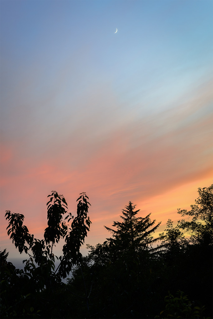 New Moon At Sunset by jgpittenger