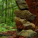 Rocks in the woods by francoise