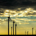 Wind Turbines at dusk by judyc57