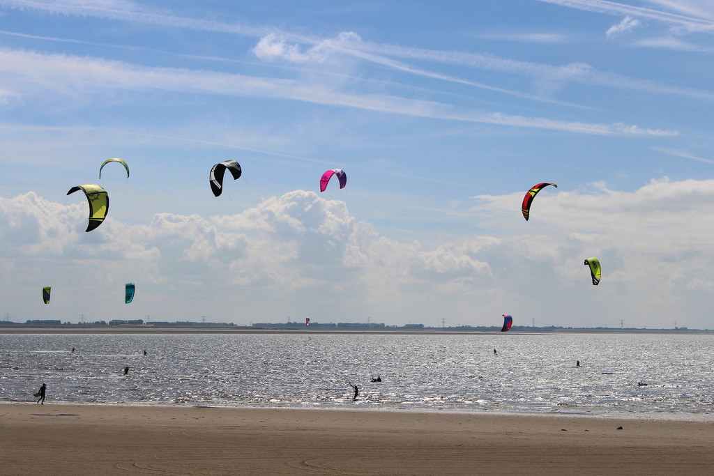 Kite surfing on the beach by pyrrhula