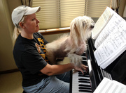 22nd Jun 2015 - Piano Dog