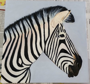 23rd Jun 2015 - Painted Zebra