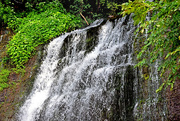23rd Jun 2015 - Rockpile Trail Waterfall