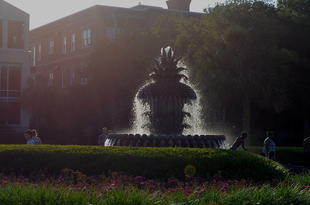 Pineapple Fountain, Waterfront Park, Charleston, SC by congaree
