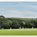 Anyone for Cricket. by ladymagpie