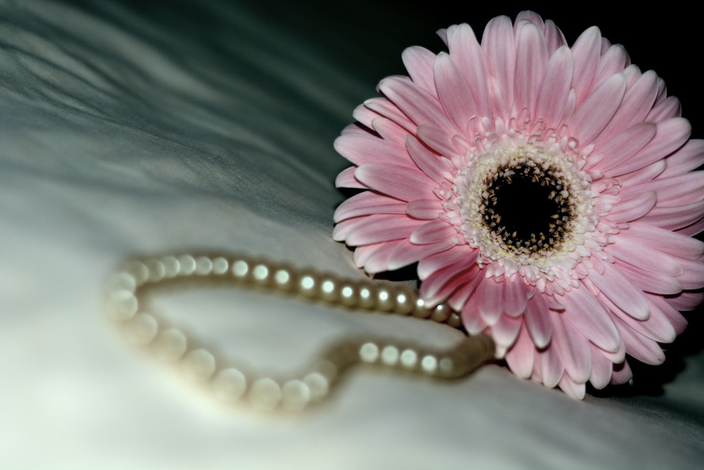 Pink and Pearls by jayberg