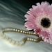 Pink and Pearls by jayberg