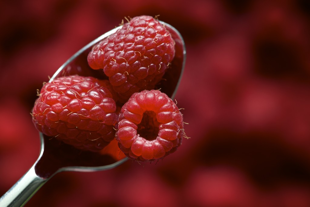Raspberry Season by kwind