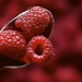 Raspberry Season by kwind