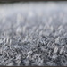 Frost Crystals by nickspicsnz