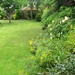 Back garden in summer by g3xbm