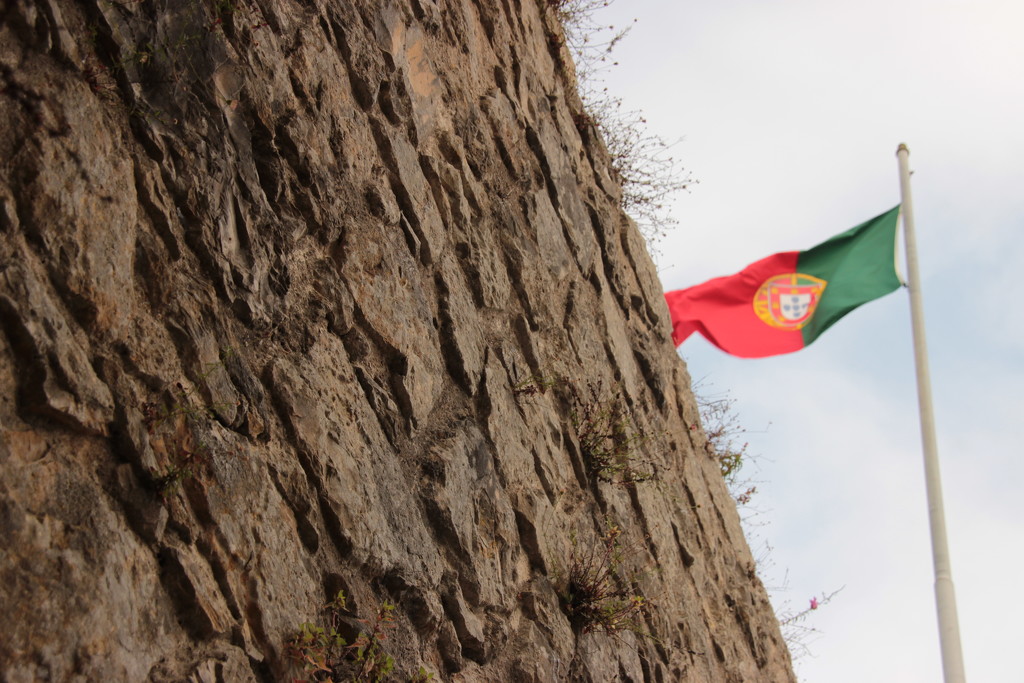 Portugal National Day by belucha