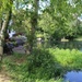 25 June 2015 A peaceful summer afternoon by the River Stour Spetisbury Dorset by lavenderhouse