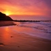 Day 169, Year 3 - Mother Nature In Mundesley by stevecameras