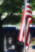 26th Jun 2015 - Eyes On Old Glory