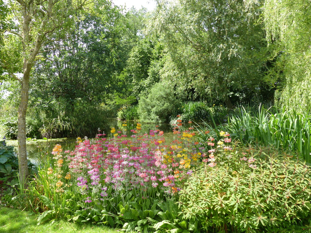  Westonbury Mill Water Gardens by susiemc