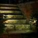 28th June 2015    - Stairs 2 by pamknowler