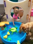 28th Jun 2015 - Darcy joining in on the water table fun