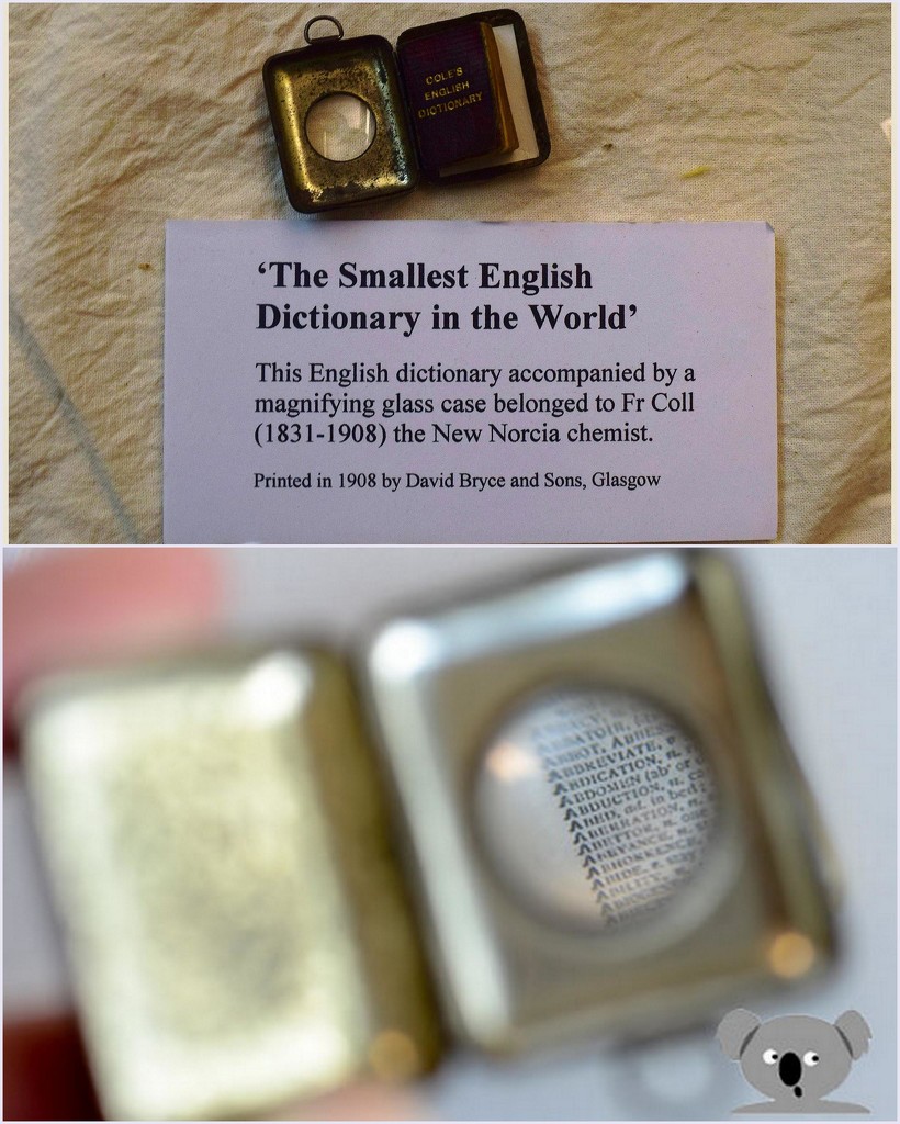Tiny old dictionary....Fascinating! by happysnaps