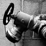 29th Jun 2015 - Drink from the firehose