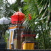 Temple umbrellas Bali DSC_3915 by merrelyn