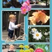 Azalea park collage by pandorasecho