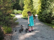 24th Jun 2015 - Another Visit To the Garden With the Duck Statues