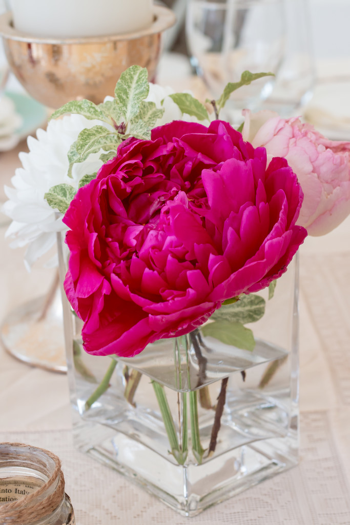 Peonies are Simply Perfect by tracymeurs