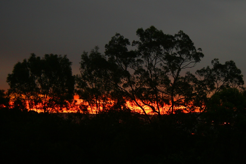 sunset today by corymbia