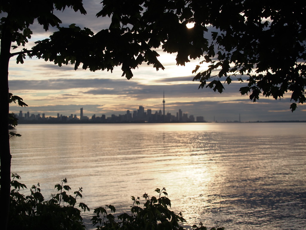 Morning Light in Toronto by selkie