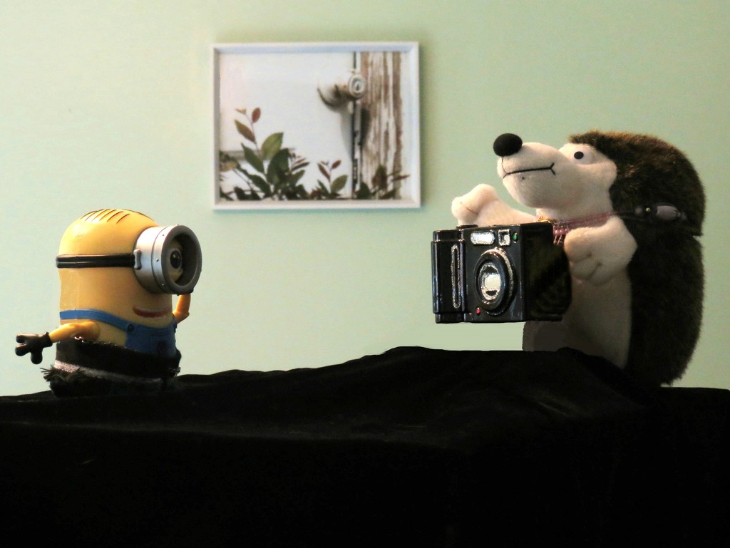 Even Toys Like To Take Photos by grammyn