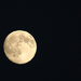 Full Moon by philhendry