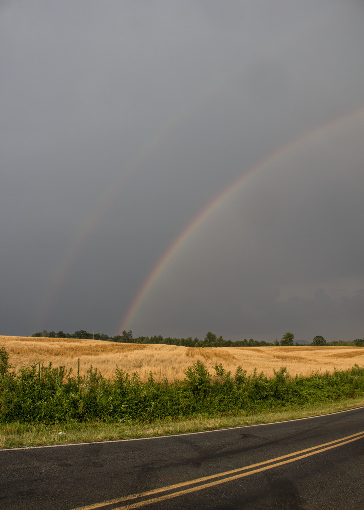 Rainbows over hay field by randystreat