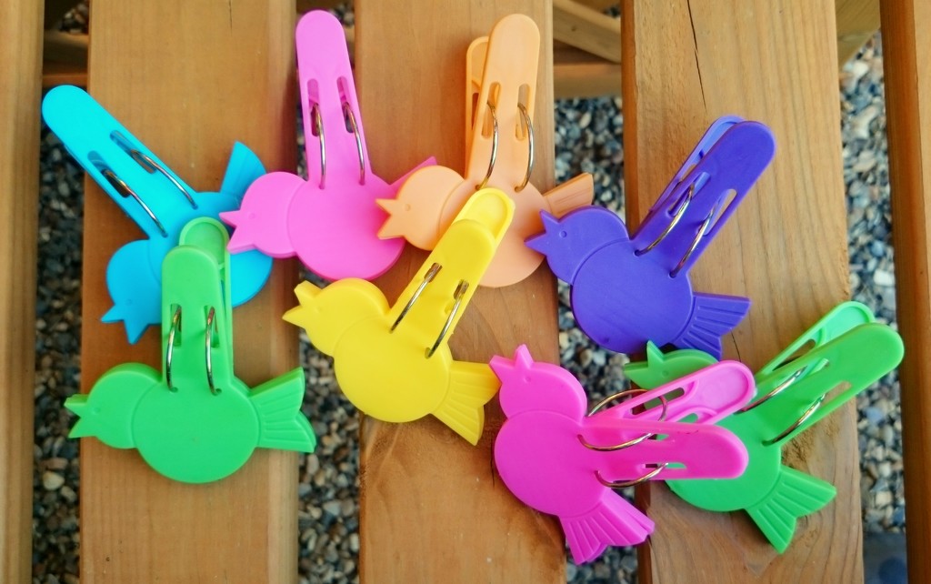 Bird pegs by boxplayer