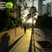 Early morning on Ann street, Brisbane by kerenmcsweeney