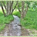 Stream in the Meadow. by ladymagpie